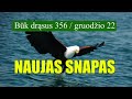 NAUJAS SNAPAS  -  BŪK DRĄSUS (356)