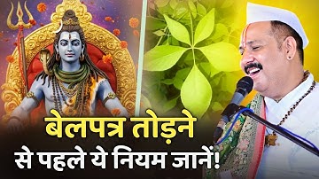 बेलपत्र तोड़ने से पहले ये नियम जानें ! @panditpradeepmishraofficial