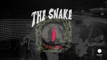 The Snake: To Be Alone (Official Visualiser)