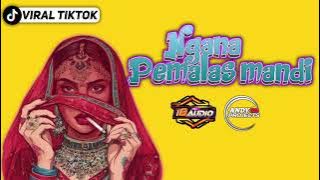 🔥TIKTOK VIRAL(NGANA PEMALAS MANDI).            ( ANDI PROJECT FT 18 AUDIO ) TERBARU 2025 🔥