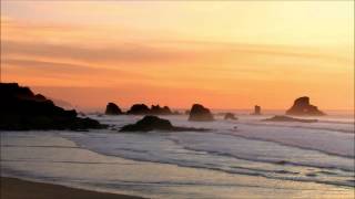 Celebrity The Sea - A Lecture by Peter Kreeft Net Worth
