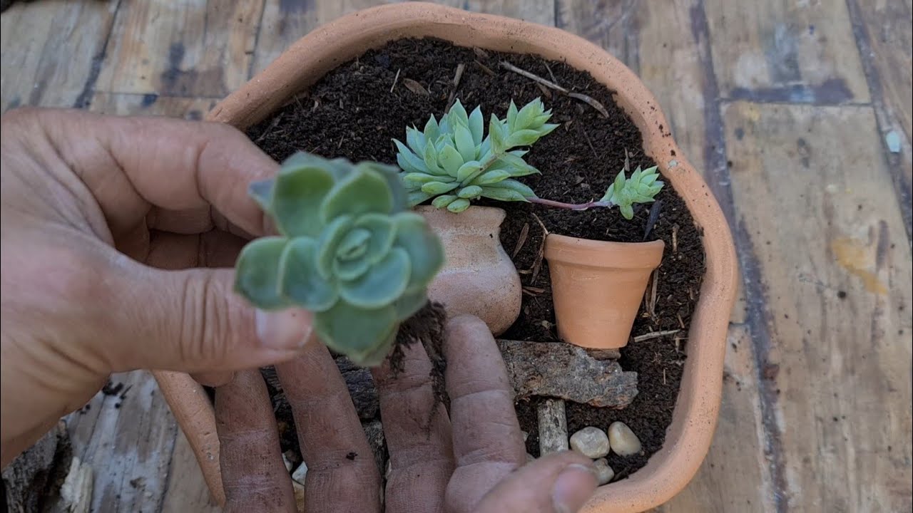 Возьмите сухие ветки, чтобы сделать деревенское украшение, композицию с красивой идеей с