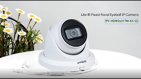 Dahua HDW2431TM-AS-S2 4MP Lite IR Eyeball IP Camera with Smart Detection