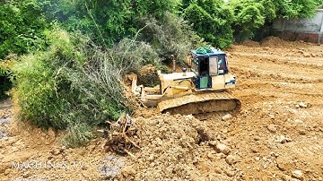 Super Skill Operator Strong Bulldozer KOMATSU Push Clearing Land Bamboo Forest Truck Unloading Dirt