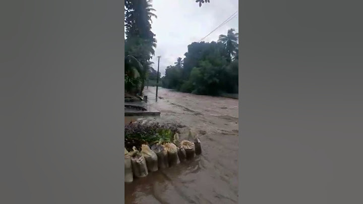 പുഴ ഏതാ പാലം ഏതാ എന്ന് തിരിയുന്നില്ല അത്രയും വെള്ളം
