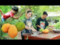Papaya So Sweet, Mommy and Son Pick for dinner | Sweet Papaya | Fruit Picking | Green Chili pepper