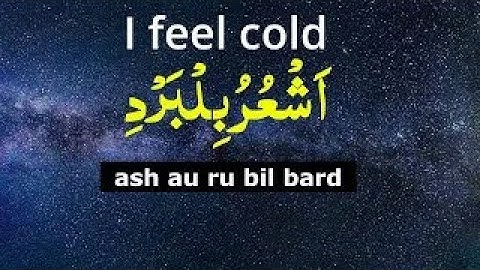 Learn Arabic | How To Learn Arabic | Epi 14 | Learn Arabic For Beginners | Arabic Conversation