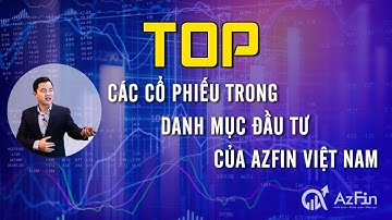 Top các cổ phiếu trong danh mục đầu tư của AzFin Việt Nam