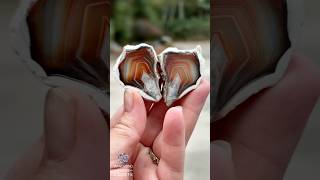 Agate Collector’s Dream 💎 Sumatra Treasure From Indonesia