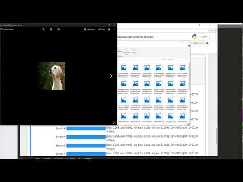 Keras Tutorial (Moving