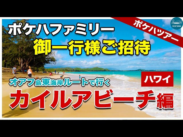 お値下げ‼️ハワイ.HAWAII.書籍.本.４冊 お値下げ‼️ハワイ.HAWAII.書籍.本.4冊 お値下げ‼️ハワイ