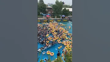 Fun At The Water Park Assument Shorts 