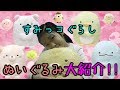 すみっコぐらしのぬいぐるみ大紹介!!☆みにっコもあるよ☆きーちゃん☆きらきさチャンネル#39