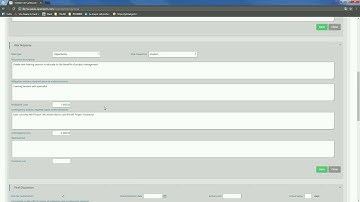 Risk Issue Assumption Management in Talaia OpenPPM