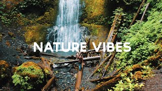 NATURE VIBES  - short CINEMATIC VIDEO