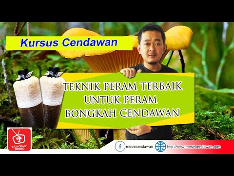 Video: Apa Kaedah Terbaik Untuk Memetik Cendawan