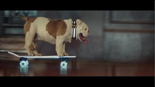 Bulldog Skater Otto  MADE VISIBLE by TCS