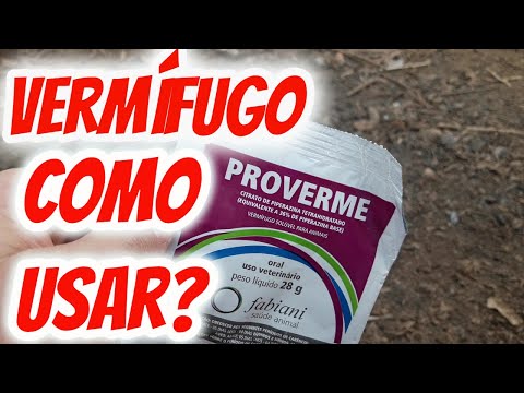 Vídeo: Quanta piperazina dar às galinhas?