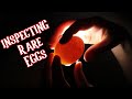 Are These Rare Chicken Eggs ACTUALLY Fertile? [Hatching Ayam Cemani Eggs]