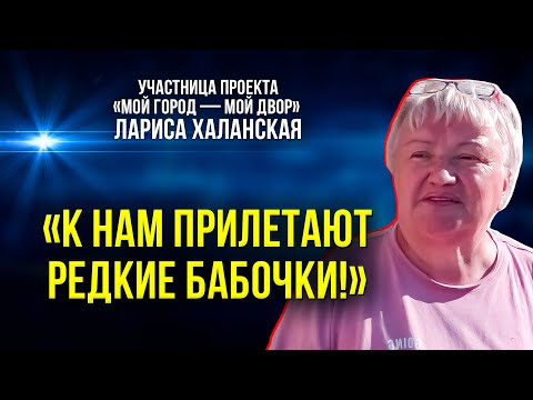 Жительница Нового Уренгоя преобразила целый двор