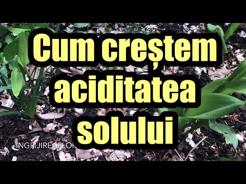 Video: Îngrășământul face solul acid?