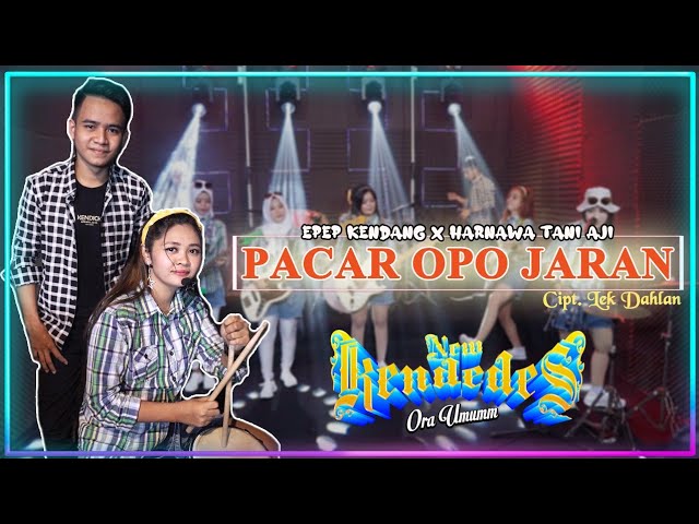 Epep Kendang NEW KENDEDES Feat. Harnawa Tani Aji - Pacar Opo Jaran (Official Music Video) class=