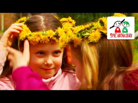 Video: Kvitnúce Uhorky (11 Fotografií): Ako Rozlíšiť Mužské Od ženských Kvetov? Štruktúra Kvetov. Čo Keď Sú Na Uhorkách Iba Mužské Súkvetia?