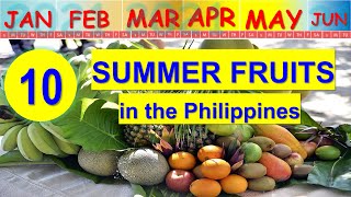 10 Summer Fruits in the Philippines to Enjoy | with Price per kg