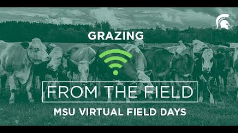 Virtual Grazing Field Day - Jason Rowntree