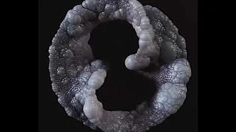 Skinny Puppy - Love Skinny Puppy - Love