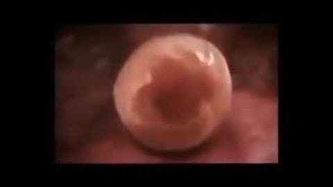 مراحل خلق الله للإنسان من أول النطفة  وصوت خاشع للقارئ الشيخ عبدالباسط عبدالصمد