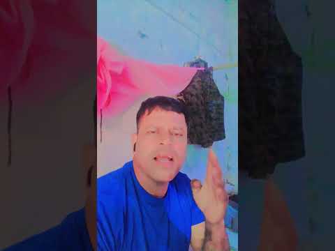 Phool Gulabo Ka Song Love Hindi Song