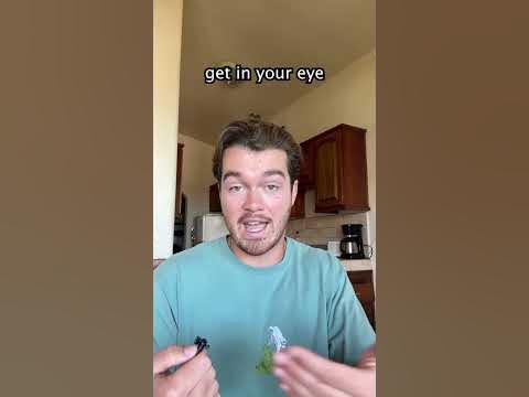 Time Travel Paradoxes - YouTube