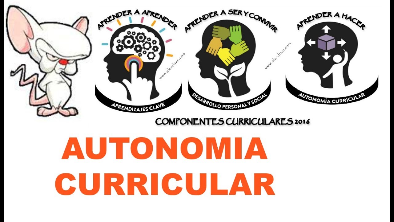 AUTONOMIA CURRICULAR. TERCER COMPONENTE EDUCATIVO. - thptnganamst.edu.vn