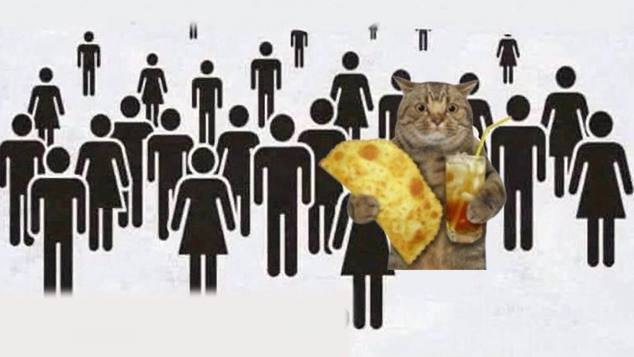 Кот - YouTube