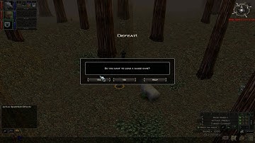 Dungeon Siege Mageworld - Walkthrough. Part 20 Defeat!