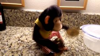 Vintage Toy Monkey Musical Jolly Chimp Playing Cymbals