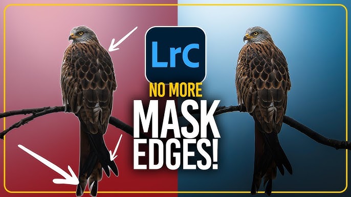 Spermogrammadagi mushuk Yalangoch shisha stulda