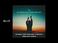 Ive Mendes feat. Sumo Rebounce - Natural High (Vida-soul AfroTech Unofficial Remix)