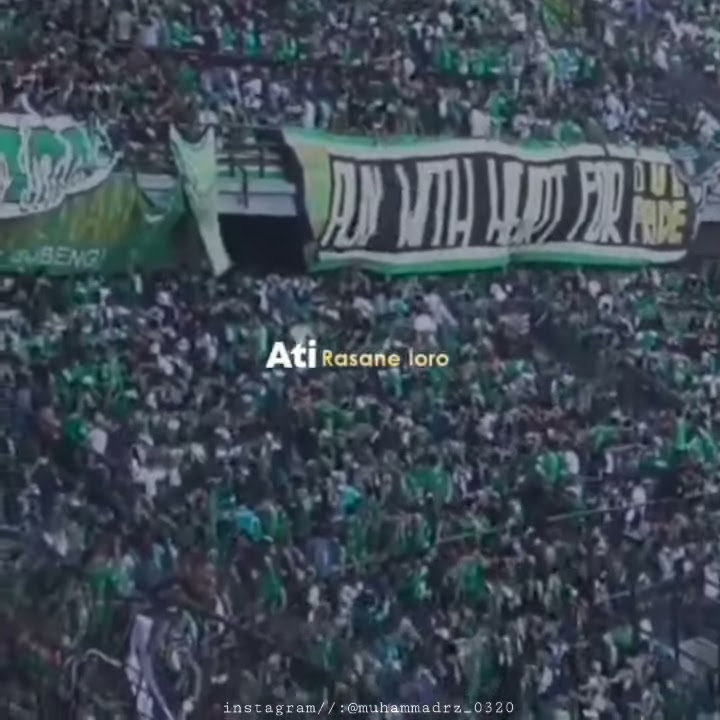 Story wa persebaya terbaru💚🐊||Storynya bonek