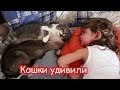 VLOG Подстригли Алису. Померяли платья. Купили подарок Батону.