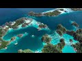 Raja ampat  diving in the most beautiful underwater world  4k cinematic travel