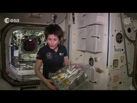 Video: Space Food: Kung Ano Ang Kinain, Kinakain At Kakainin Ng Mga Astronaut