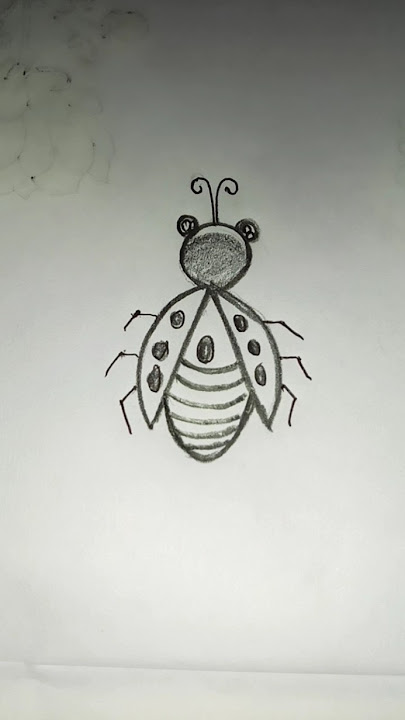 Ladybug 🐞🐞 easily drawing…#ladybug #drawing #art #easy #ritu'screation