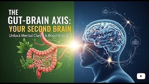 THE CONNECTION BETWEEN GUT AND BRAIN🧠