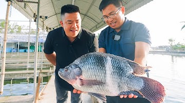 SAPA TV | LẦN ĐẦU ĂN SASHIMI CÁ RÔ VÀ GẦN 100 MÓN CÁ RÔ SIÊU NGON TẠI NHÀ HÀNG RÔ HOÀNG ĐẾ