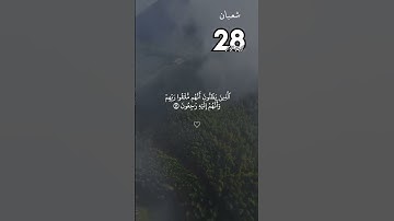 تدبر في سورة البقرة | الآيات 45-47#قرآن #سورة_البقرة #تدبر #تلاوة_خاشعة #فارس_عباد #آيات_مؤثرة