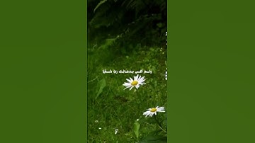 مريم - الآية 4.... #المصحف #قرآن #سورة_مريم