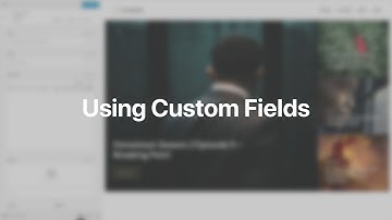 Using Custom Fields | YOOtheme Documentation (WordPress)