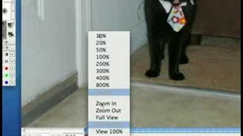 How to Use Photoline Software : Photoline Tutorial: Navigation